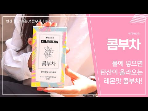 요즘 인기 콤부차 찐 리뷰!✨ 얼라이브보다 네이처드림 콤부차! 다이어트 탄산음료 추천🍋