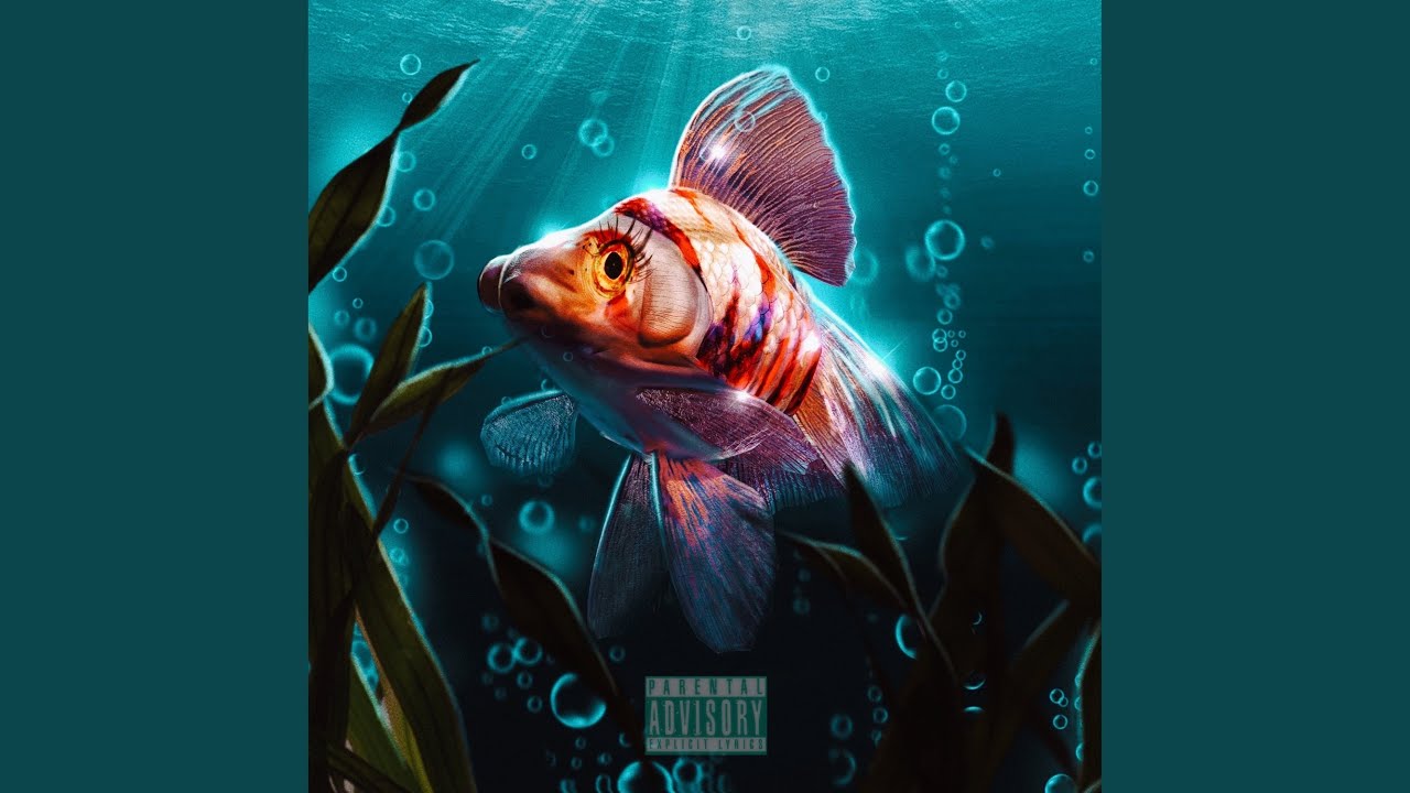 Рыба телескоп - YouTube