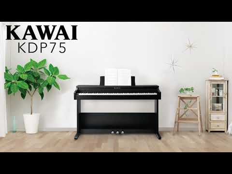 Kawai KDP75 Digital Piano Introduction | Kawai KDP Series