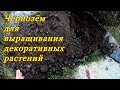 Чернозём для выращивания декоративных растений в открытом грунте.