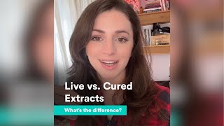 Live Vs Cured Concentrates Whats The Difference?