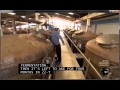 This is how Soy Sauce is made