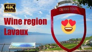 Drive through the UNESCO World Heritage &quot;Lavaux&quot; - Switzerland (4K)