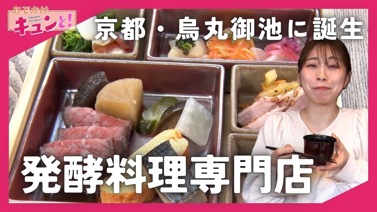 老舗味噌問屋が手がける新店「蔵代醗彩」心と身体を潤す新しい食の形とは？／おでかけキュンと！