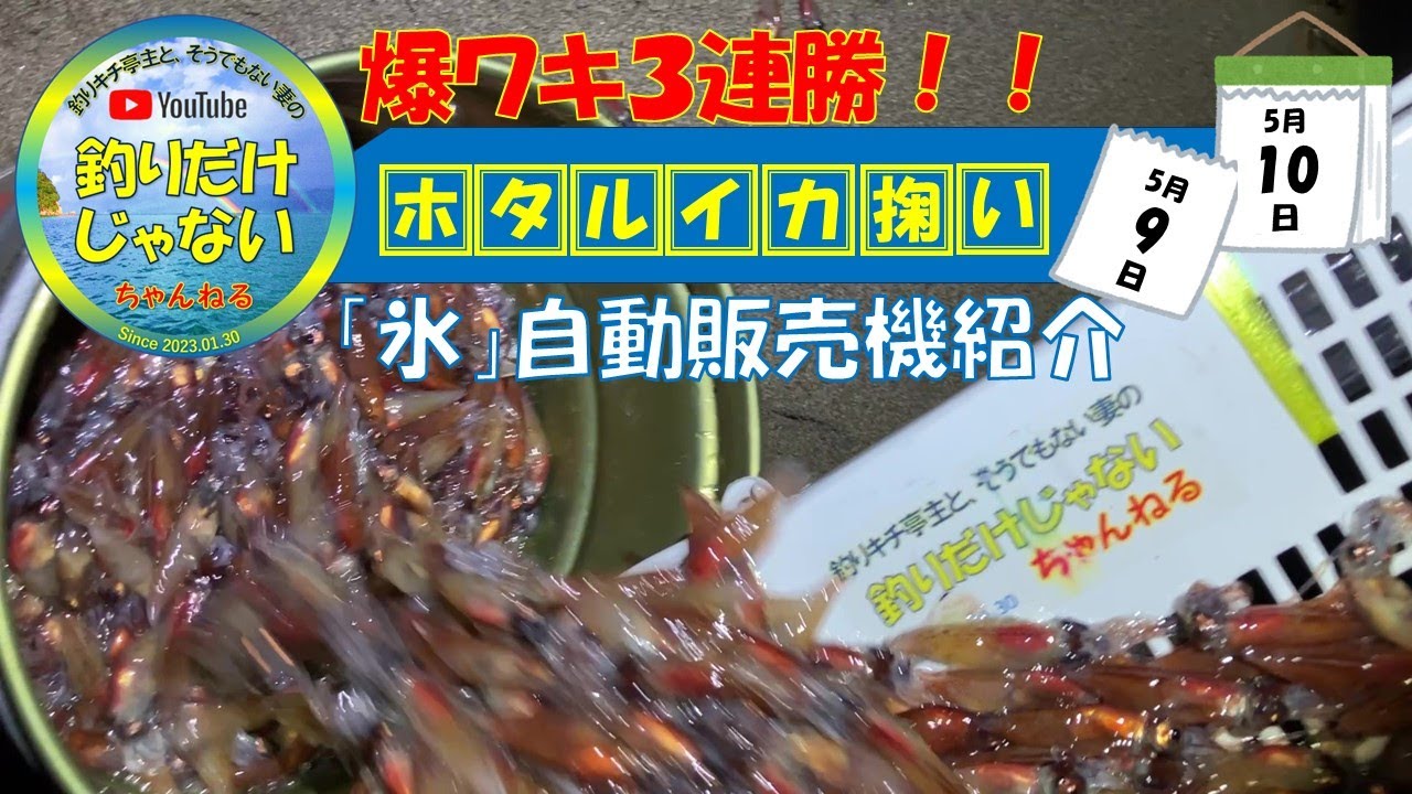 【爆ワキ3連勝！】1時間半、２人で60kg超！2024年5月9日〜10日未明のホタルイカ掬い。岩瀬浜海水浴場。知っておくと便利、「氷の自動販売機」紹介。リチウムイオンバッテリーで再現、現地めし。