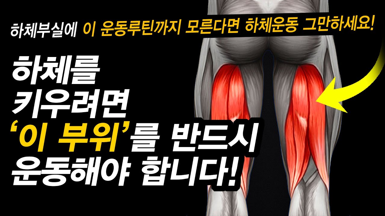 선명한 하체 근육을 키우는 가장 빠른 방법!? [종아리, 햄스트링]