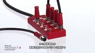 Molex - Product Spotlight - Brad Safety MPIS Distribution Box – Japanese