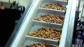 Part 1 : Working of Incline Conveyors