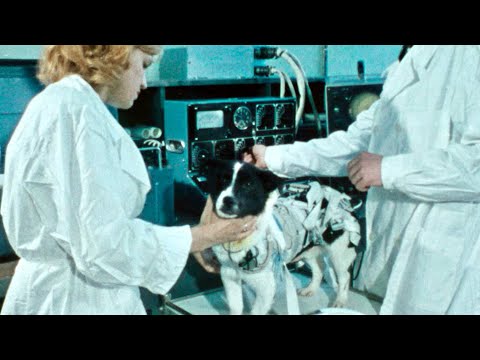 世界初の“宇宙飛行犬”ライカは今も地球を彷徨っている／映画『犬は歌わない』予告編