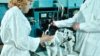 世界初の“宇宙飛行犬”ライカは今も地球を彷徨っている／映画『犬は歌わない』予告編
