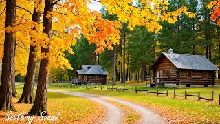 Beautiful Autumn Music 🍁 Stop Overthinking, Stress Relief Music With Autumn Melodie screenshot 5
