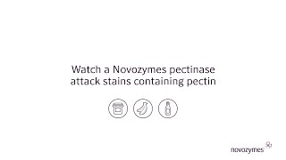 See a pectin stain disappear with Novozymes pectinase