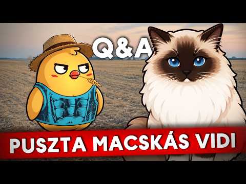Macska lennék vagy Nő? | Lennék politikus? | CicaContent - Kérdezz-Felelek