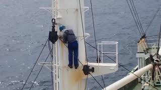Life of ReeferShip Onboard