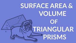ʕ•ᴥ•ʔ Easy formula for the Surface Area and Volume of a Triangular Prism