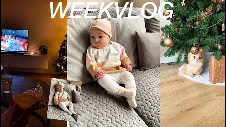 Samen een tiktok account & ontmoet Ja-Lynn Faith VLOG #30 beautywithdaisy