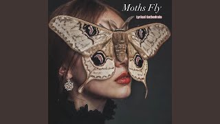 Moths Fly - Lyrical Cathedrals