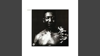 Miniatura de vídeo de "Muddy Waters - I Am The Blues"