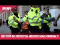 Just Stop Oil protesters arrested near Downing Street for obstructing traffic