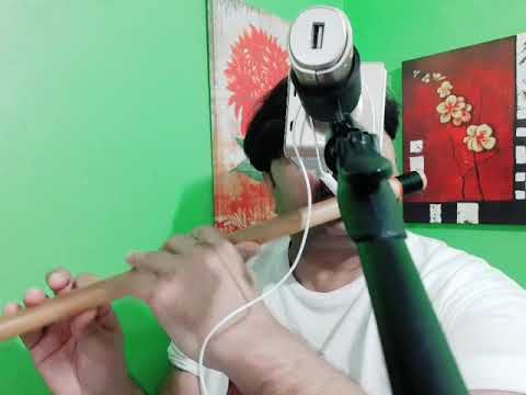 Suno sajna papehe ne flute by Arshad Malik Jhang