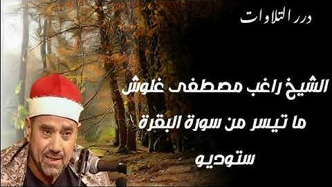 الشيخ راغب مصطفى غلوش ما تيسر من سورة البقرة ستوديو مختلف