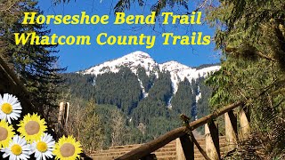 Come hike Horseshoe Bend Trail with me! - Whatcom County Trails - Hiking Vlog