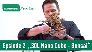 Bonsai Aquascape im 30L Nano Cube | Aquarium nach Rezept Folge 2 | Dennerle