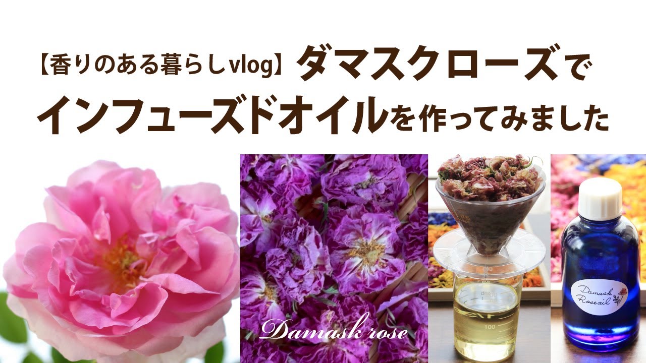 ダマスクローズでインフューズドオイルを作ってみました【香りのある