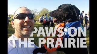 Paws On The Prairie Gives Me The Runs - E155