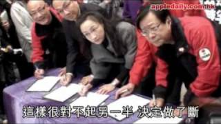 蘋果日報 - 20101028 - 隔牆有耳:陳淑莊變剩女