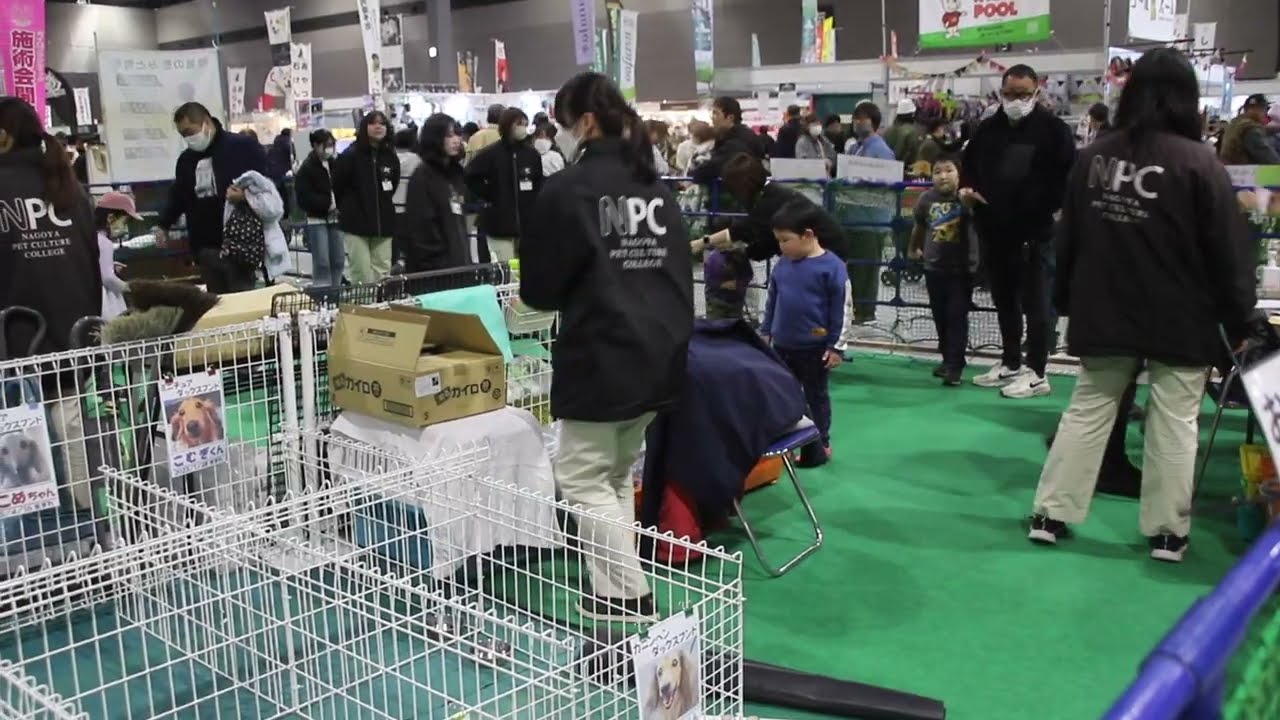 わんにゃんドーム２０２６色々な催しから