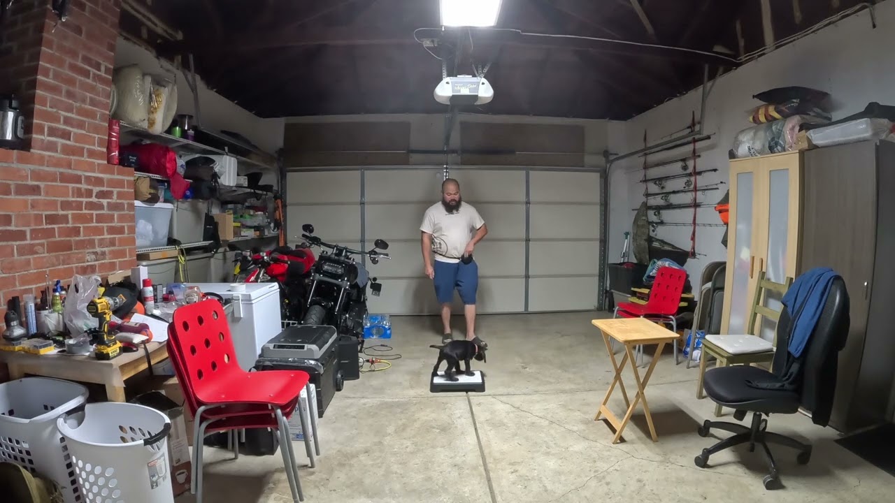 Introduction of place command with 8 week old Max 