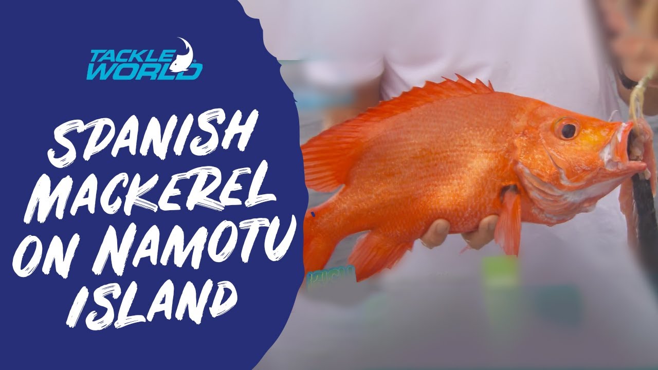 Spanish Mackerel at Namotu Island, Fiji! YouTube