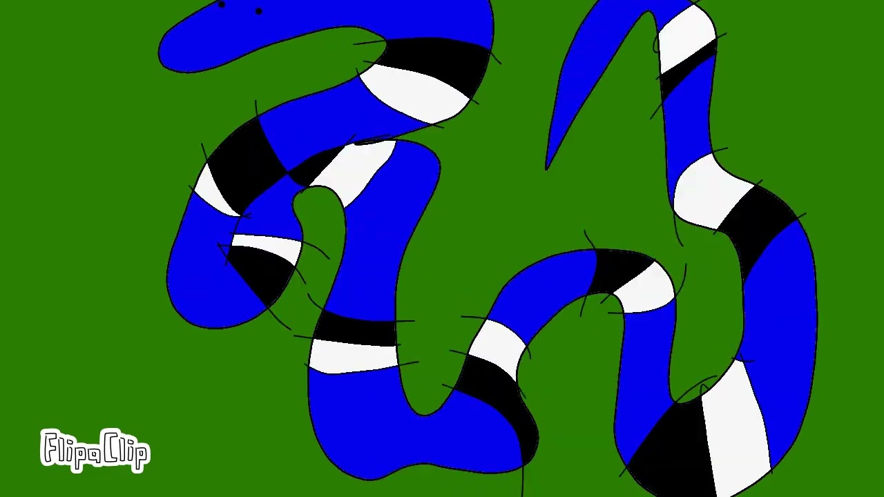The Blue Coral snake cartoon animation 