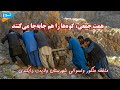 منگور اتحاد مردم شاکور ولسوالی شهرستان ولایت دایکندی افغانستان Afghanistan Jaghori 