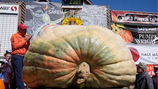 Giant pumpkin named Rocky gives champion grower his CA comeback