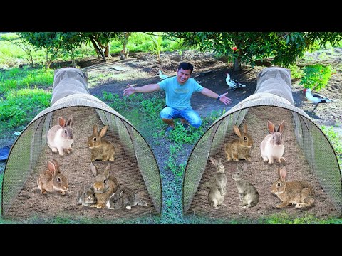 Video: Paano Maghulma Ng Mga Bunnies Mula Sa Luad