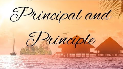 Differences between Principal and Principle, exclusive video for beginners of English