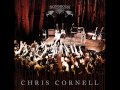 Chris Cornell - Black Hole Sun [SONGBOOK]