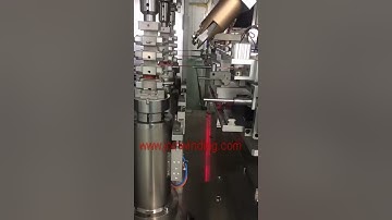 BLDC motor combined segment tooth winding