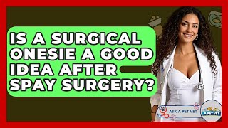 Is A Surgical Onesie A Good Idea After Spay Surgery - Ask A Pet Vet