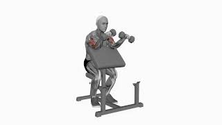 Dumbbell Zottman Preacher Curl - Proper Form &amp; Technique [4K]