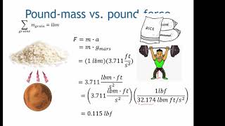 Celebrity es346 videoExtra poundMass Net Worth