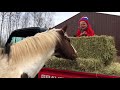 Barn VLOG ~ First Trail Ride Of The Year!