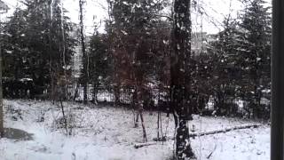 1st big snow storm in the DMV March 6 2013