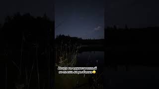 🏞 Рыбалка в глуши – только я и природа 🌲#fishing #fish #fyp #viral #fishinglife #fishingtiktoks