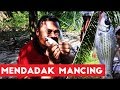 Survei Sarang Belut Malah Jadi Mancing!