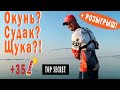 Поиски хищника в жару 35°С Тест Crazy Fish Arion до 45г по крупной рыбе! Рыбалка на Волге +РОЗЫГРЫШ!