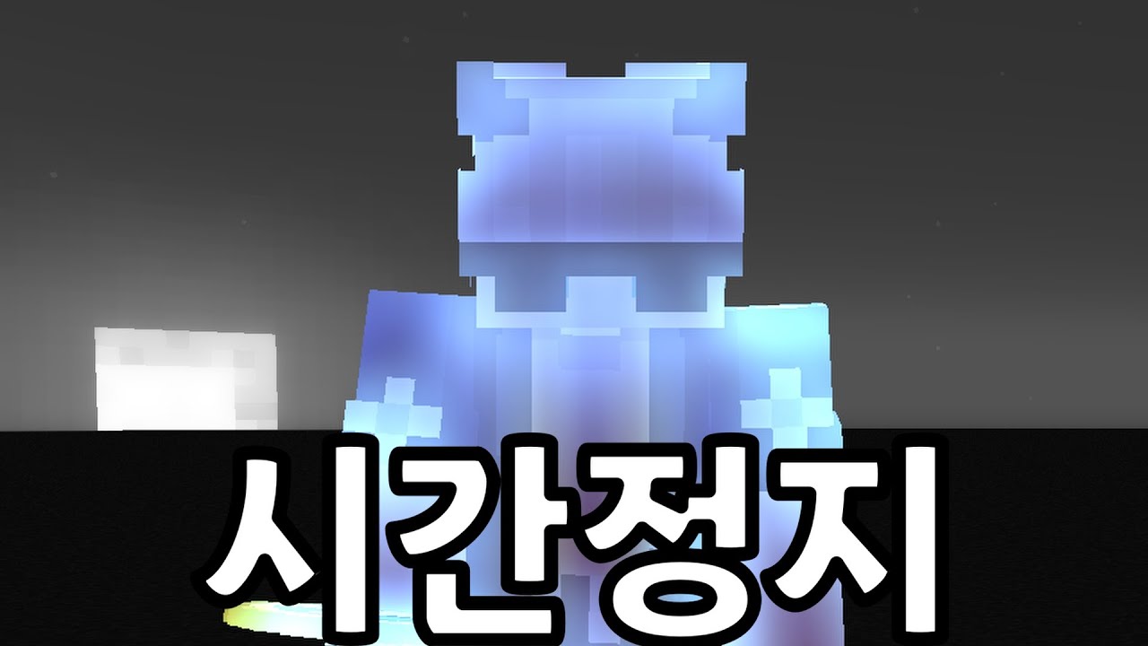 내가 시간을 멈췄다[풀잎서버]