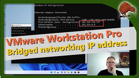 Vmware Workstation access to the local network with DHCP